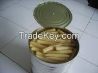 Canned Baby Corn 
