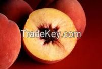 red sweet fragrant fresh nectarines supplier from China