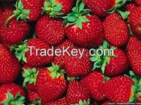 Fresh Strawberry Fruit