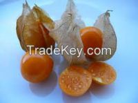 Dried gooseberries, incaberries, goldenberry, dried physalis