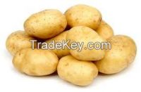 2014 Hot sale Fresh Yellow Potatoes