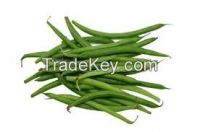 French Green Bean
