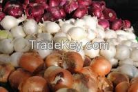 New Crop 2014 Fresh Red Shallot Onion