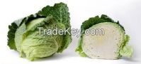 wholesale cabbage/fresh cabbage/chinese cabbage for hot sale