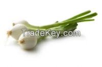 dried spring onion