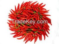 SUPPLY ALL KINDS OF PREMIUM QUALITY RED CHILI