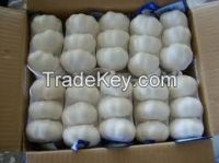 2014 fresh white garlic exporter in china