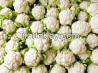 Selling Quality Grade A White Cauliflower Frozen