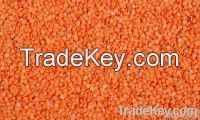 Natural Clean and Dried Green Lentils, Red Lentils, Brown Lentils