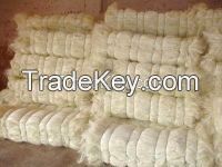 High quality sisal fiber