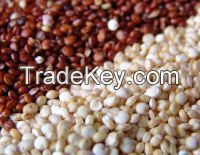 Red & White Quinoa Seeds