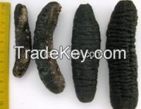 Dried Sea Cucumber