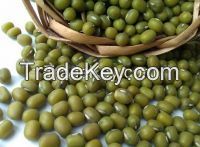 Green Mung Beans,Chickpea Beans,Black Pepper,Hybrid Vegetable Seeds,Green Car.