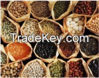 Quality Kidney beans, Black beans, Lentils, Chickpeas, Mung beans, Soybeans F.