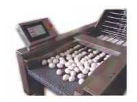 Automatic Egg Grading Machine / Cheap Egg grading machine