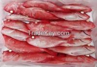 Sea fish fillets , Grouper, Sea Bass, Red Snapper