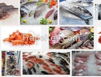 fish,frozen grouper,frozen silver pomfret,hilsa fish,sardin,ribbon ,ell ,qu...