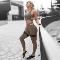 Female Tights, Leggings and Sports Bra, Fitness wear