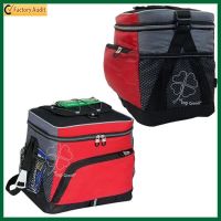 Promotional Food Delivery Insulated Thermal Cooler Bag (TP-CB239)