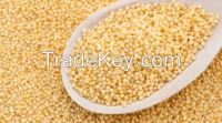 Gold of pleasure seed (Camelina sativa (L.) Crantz)