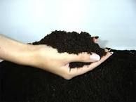 Vermicompost