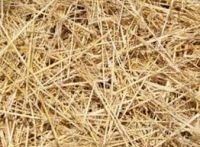 Hay Straw