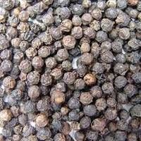 BLACK AND WHITE PEPPER GOOD QUALITY FOR SALE. FREE SAMPLE