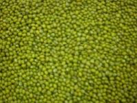 QUALITY GREEN MUNG BEANS FOR SALE AT AFFORDABLE PRICE