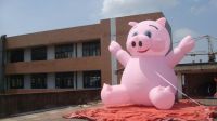 2014 NEW hot innovative inflatable cartoon pig
