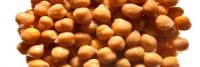 CHICKPEAS