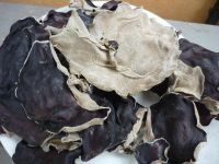 Dried Black Mushroom