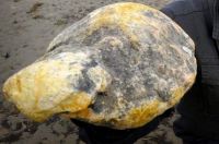 Whale Ambergris