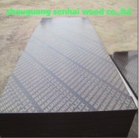 18mm poplar core black film faced plywood chinese