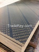 18mm shuttering plywood