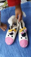 Shoes, Felt  Shoes,felt Clogs,  Felted Wool Slippers 