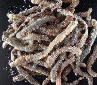 dry lugworm,saltedlugworm, frozen lugworm,freeze dried lugworm