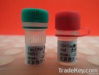 Taq DNA Polymerase, 1000U