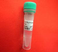 Pfu DNA Polymerase