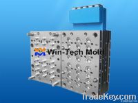 Plastic Injection Mold (32)