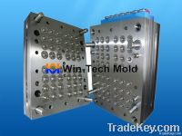 Plastic Injection Mold (31)