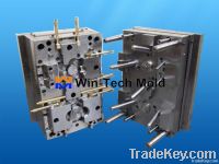 Plastic Injection Mold (26)