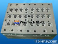 Plastic Injection Mold (21)