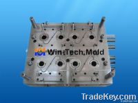 Plastic Injection Mold (18)