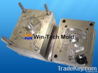 Plastic Injection Mold (3)