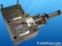 Plastic Injection Mold (2)