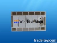 Injection Mold, Plastic Molding (49)