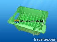 Injection Mold, Plastic Molding (1)