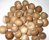 Betel Nuts - Whole Dried 70% - 75%