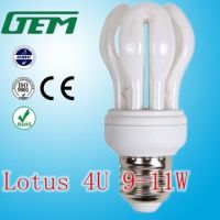 Long Lifetime Energy Saving Lamp Fron China Factory