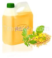 High quality Mustard oil First cold pressed